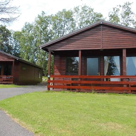 Birch Lodge 20 With Hot Tub Newton Stewart Kültér fotó